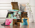 Paint Your Pet Kit