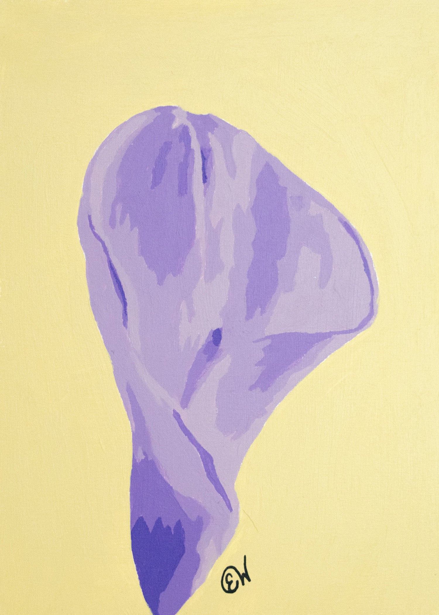 Calla Lily