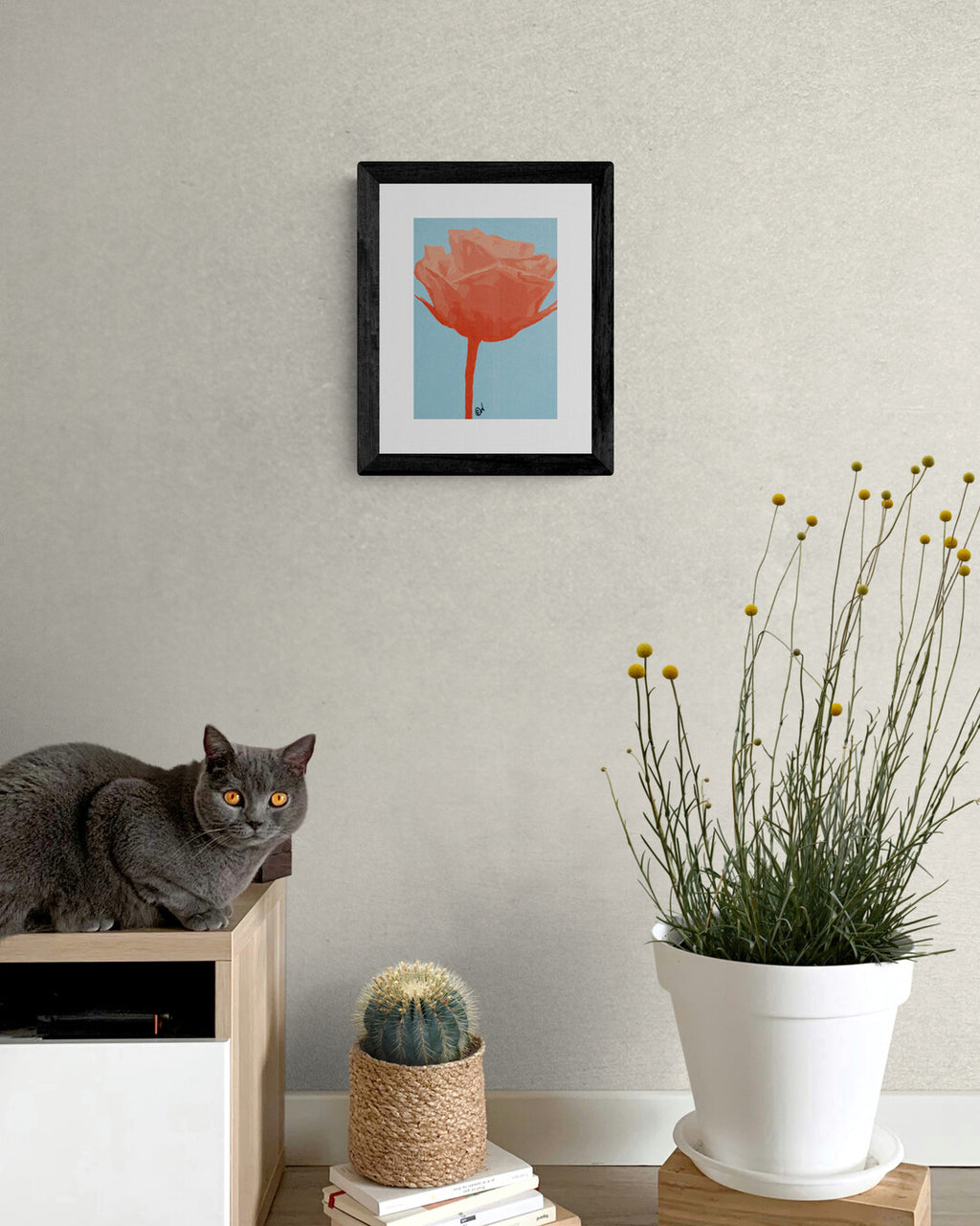 Regal Rose