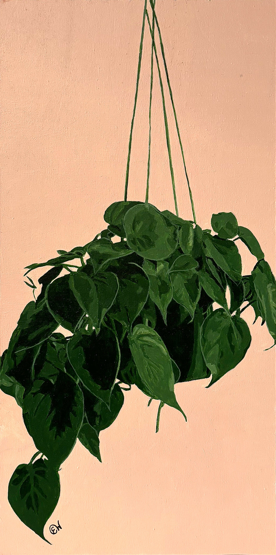 Blushing Pothos Bliss